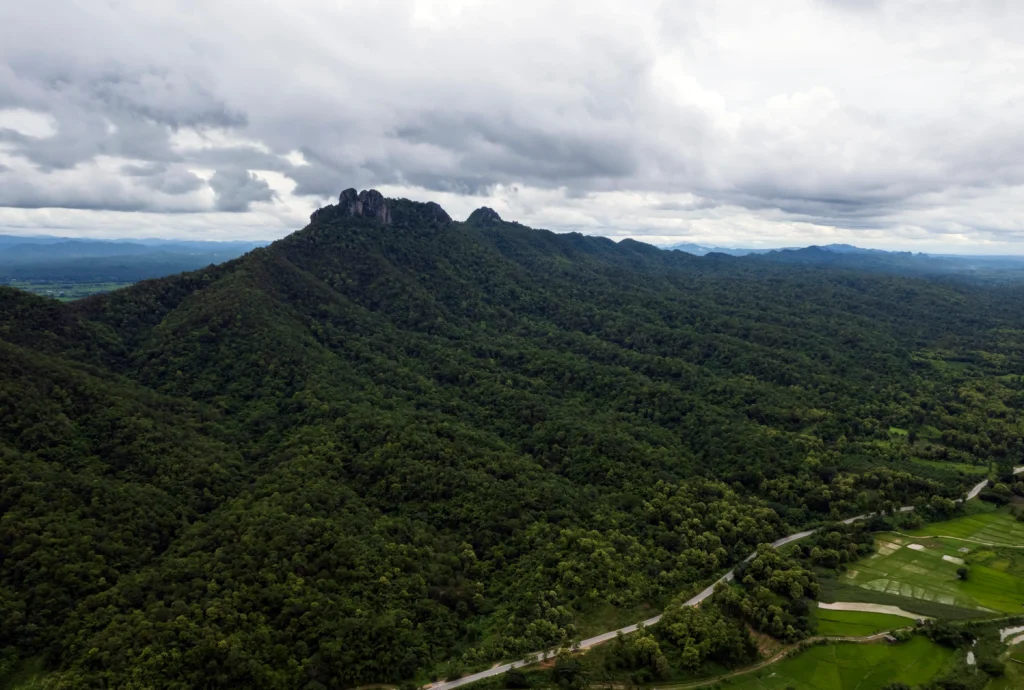 top-view-of-countryside-road-passing-through-the-g-2022-12-13-21-25-40-utc